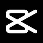 image (4)